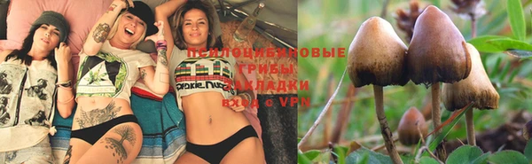 тгк Нефтегорск