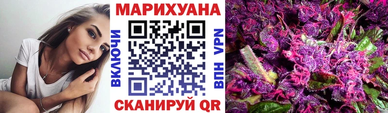 как найти   Тулун  Бошки Шишки марихуана 